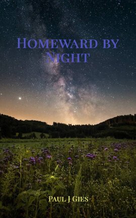 Homeward by Night