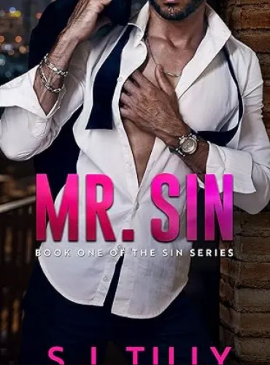 Mr. Sin: Book One of the Sin Series